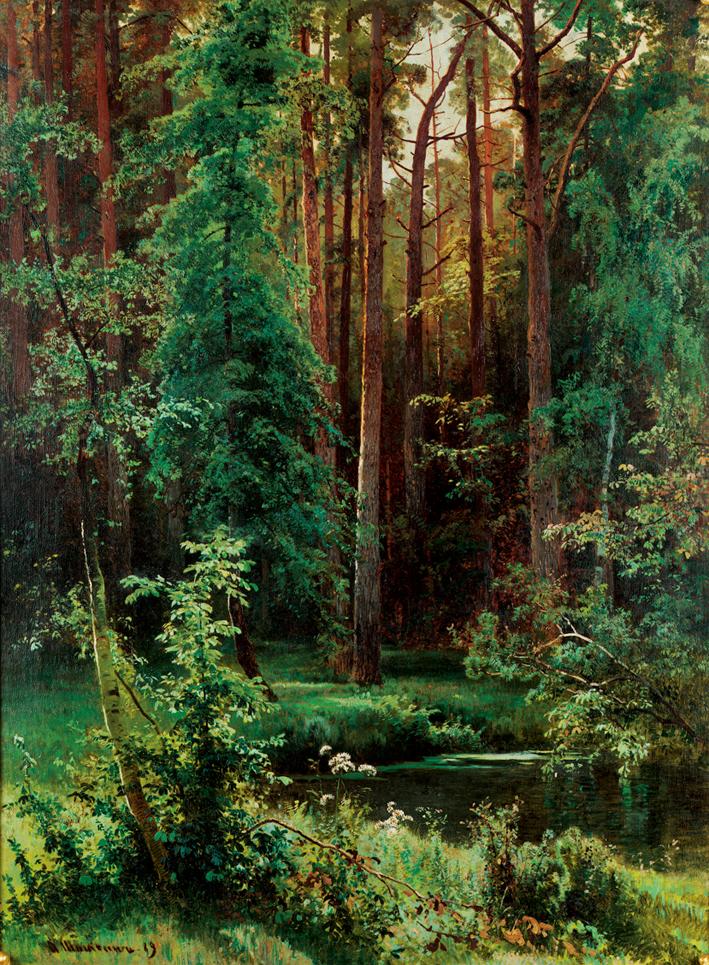  伊凡·伊凡诺维奇·希施金 Ivan I. Shishkin —— Schischkin_009